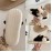 Men's Casual Cartoon Cow Design Warm Furry Plush Lining Slip On Slides, Comfortable Soft Sole Non-slip Open Back House Slippers For Indoor