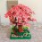 Cherry Bonsai Tree Building Sets, Mini Building Blocks Of Cherry Flowers Bonsai Tree Kit, Mini Bricks Sakura Tree House, Good Gift Choice